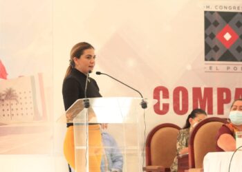 Pide diputada de NAO, menos política y más acción a Gobierno Estatal