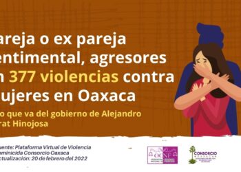 Pareja o ex pareja sentimental, agresores en 377 violencias contra mujeres