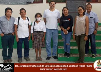 Por gravedad trasladan a Oaxaca a pintor electrocutado en Huajuapan de León