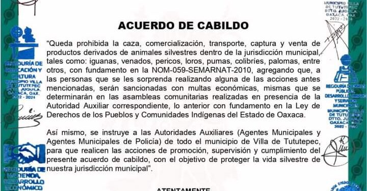 Tututepec por la protección de la vida Villa de Tututepec