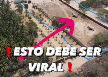 Único campamento tortuguero de Oaxaca, amenazado por construcción de residencial de lujo