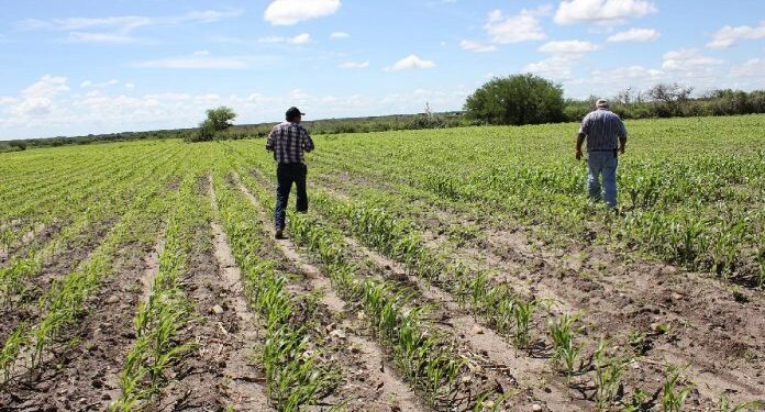 Clasista, racista y discriminatoria, detención de dos niños tsotsiles en Oaxaca por vender dulces: ROANIM