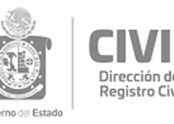 Activo Padrón de Deudores Alimentarios Morosos