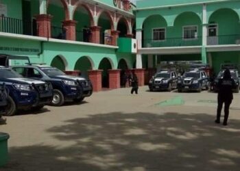 Desaparecen perros de manera misteriosa en Atzompa