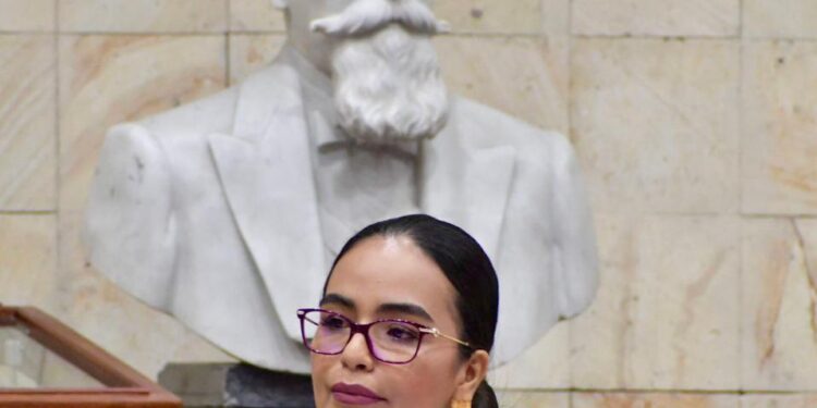 Desmiente Luz Arroyo a SINFRA