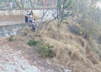 Trabaja -sin descanso- Regiduría del Medio Ambiente de Oaxaca de Juárez