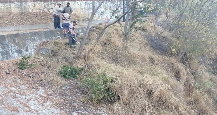 Trabaja -sin descanso- Regiduría del Medio Ambiente de Oaxaca de Juárez