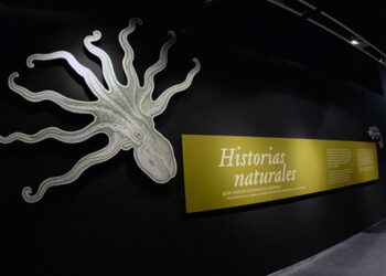 Universum inicia festejos por su 30 aniversario con exposición sobre ilustración científica