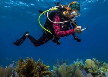 Ciencia para salvar los océanos