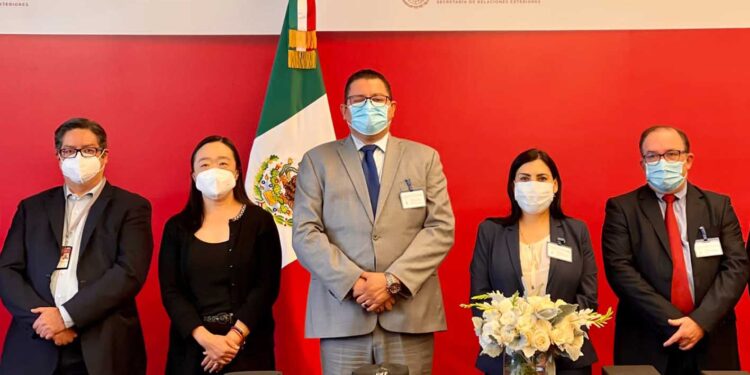 Actualiza IOAM número de migrantes fallecidos por COVID-19 en los Estados Unidos