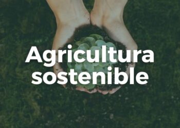 Acciones para una agricultura sostenible