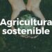 Acciones para una agricultura sostenible