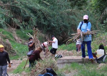 Ciudadanos, asociación de profesionistas y 4T a favor del medio ambiente