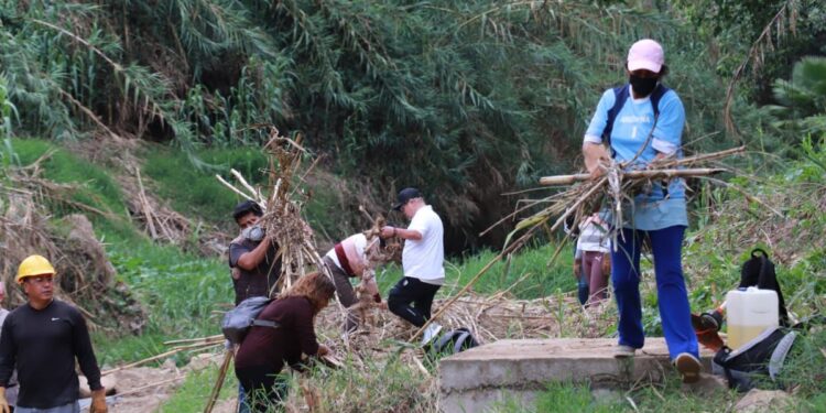 Ciudadanos, asociación de profesionistas y 4T a favor del medio ambiente