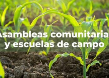 “Producir para comer”: Asambleas Comunitarias, promoción de saberes y prácticas sustentables