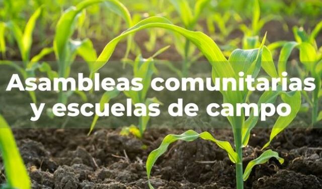 “Producir para comer”: Asambleas Comunitarias, promoción de saberes y prácticas sustentables