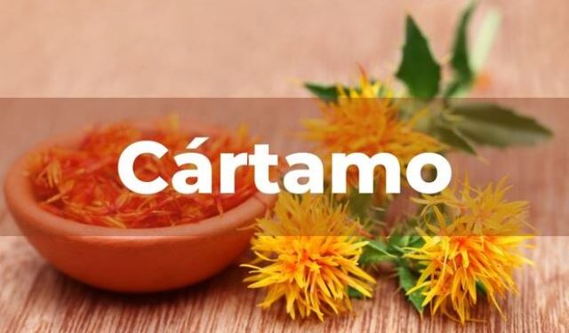 Cártamo, una oleaginosa del campo mexicano
