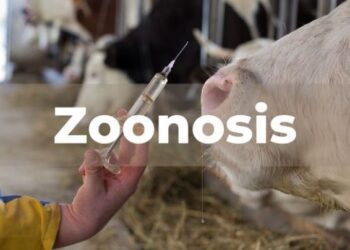 6 de julio, Día mundial de la zoonosis