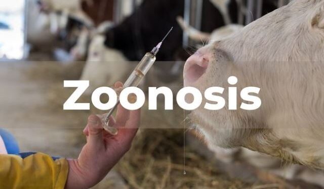 6 de julio, Día mundial de la zoonosis