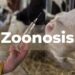6 de julio, Día mundial de la zoonosis
