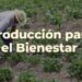 Un cambio de enfoque: Producción para el Bienestar se centra en pequeños y medianos agricultores