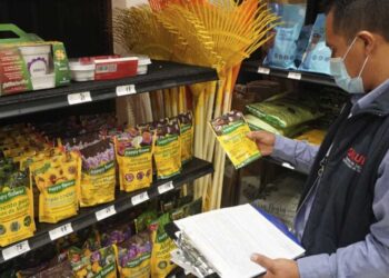 Realizarán concurso de la “Piña más pesada de agave” en la Feria del Mezcal Oaxaca 2022