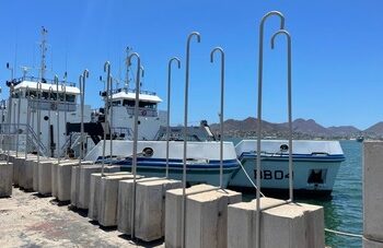 Se informa sobre ejecución del proyecto Sembrado de bloques de concreto en la Zona de Cero Tolerancia de la vaquita marina