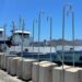 Se informa sobre ejecución del proyecto Sembrado de bloques de concreto en la Zona de Cero Tolerancia de la vaquita marina