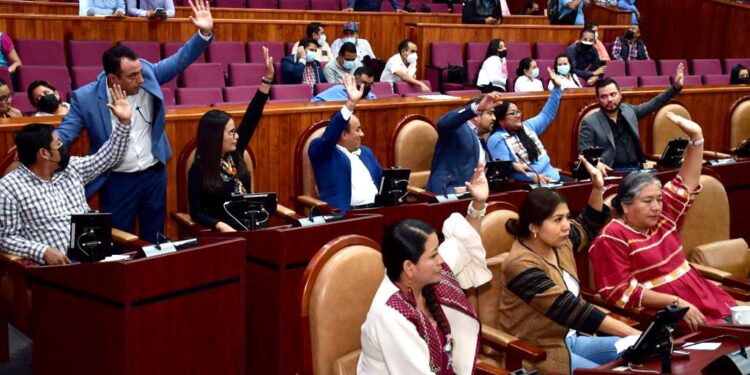 Exhorta Liz Arroyo al Congreso de la Unión expedir legislación única en materia procesal civil y familiar