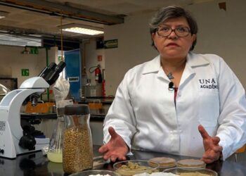 Sobrepeso y obesidad también se combaten con bebidas a base de productos naturales