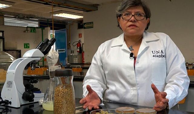 Sobrepeso y obesidad también se combaten con bebidas a base de productos naturales