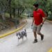 Causan sensación los parques Pet Friendly de Administración