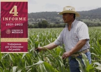 Cuarto Informe: avanzamos en el rescate y bienestar del campo