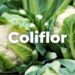 Coliflor, hortaliza saludable y nutritiva