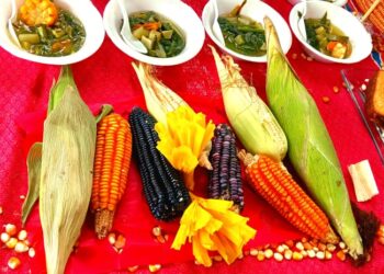 Con muestra gastronómica celebran en COBAO de Cuilápam Día Nacional del Maíz