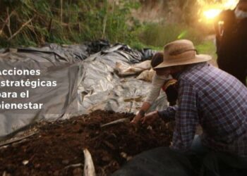 Más productividad y bienestar: con acciones estratégicas el campo no se detiene