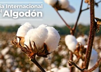 7 De octubre, Día internacional del algodón