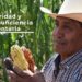 El campo no se detiene, trabajamos por la seguridad y autosuficiencia alimentaria