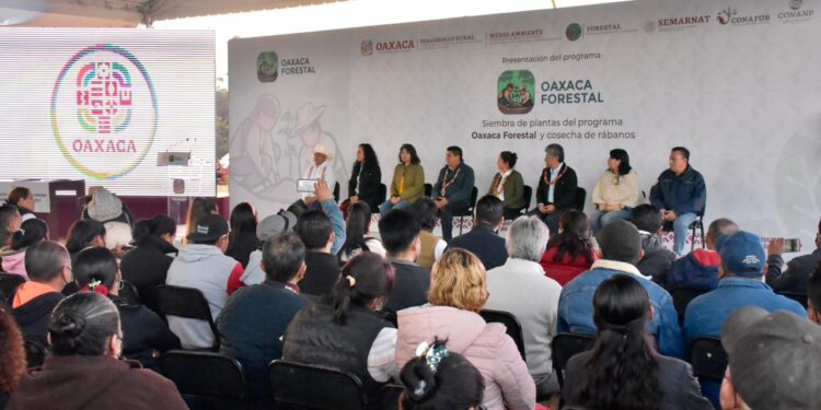 En Oaxaca inicia «Oaxaca Forestal»