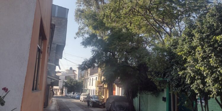 Ayuntamiento de Santa Lucia del Camino no atiende demanda desde hace 8 meses