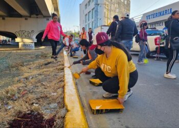 Siembra esperanza Gobierno del Estado en viveros de Coesfo