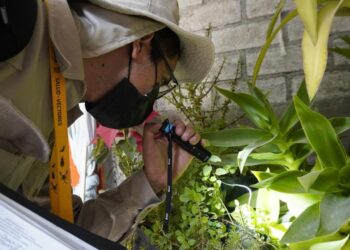 Arranca SSO Primera Jornada Estatal de Lucha contra el Dengue 2023