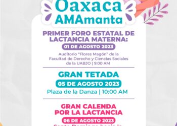 Invita SE-SIPINNA a conmemorar la Semana Mundial de la Lactancia Materna