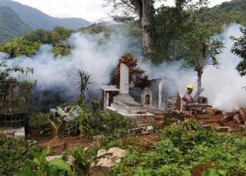 Reporta SSO 116 casos nuevos de dengue