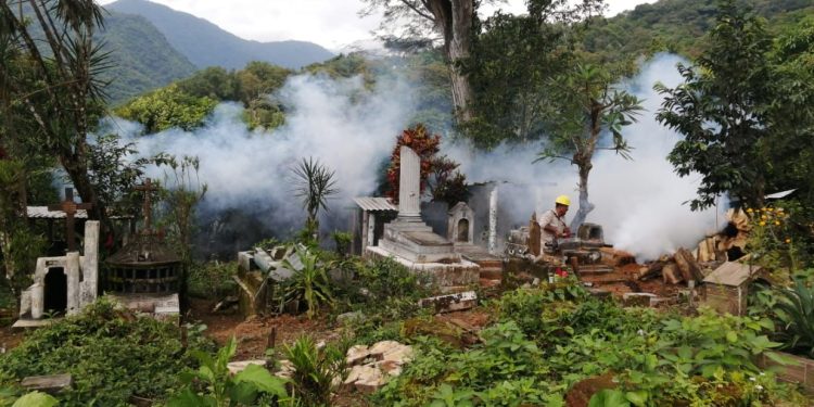 Reporta SSO 116 casos nuevos de dengue