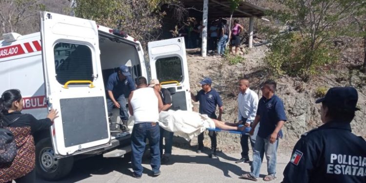 REDECOM Y EDUCA presentan Agenda 2024: “Un llamado a curarnos y sanar la tierra”