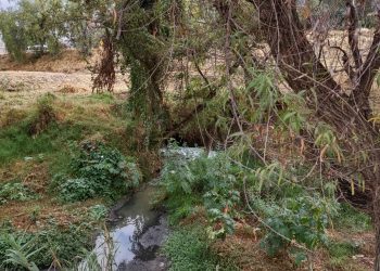 La Voz de la Montaña Ancestral denuncia depredación del Río Atoyac