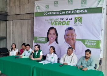 La campaña del PVEM será de propuestas, no de «guerra sucia»: Estefan Guillessen