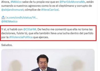 PESE A NO CUBRIR LOS REQUISITOS, INE AVALA REGISTRO DE SAXOFONISTA MARÍA ELENA RÍOS COMO CANDIDATA A DIPUTADA POR MORENA