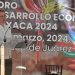 «Está descartado que se produzca un crisis financiera en México»: Messmacher Linartas